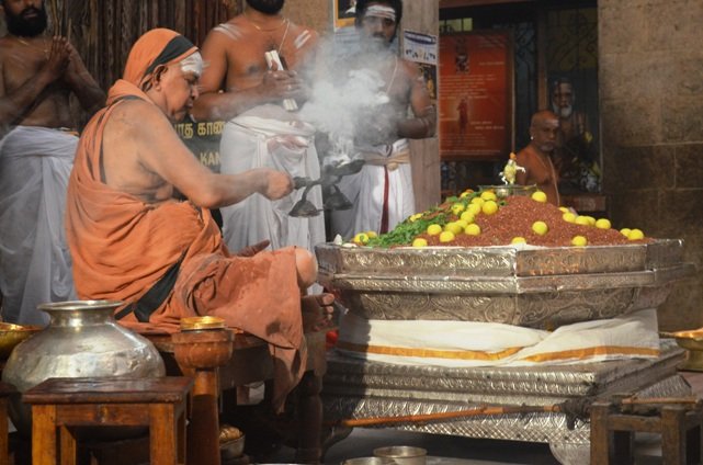 Vyasa Puja - Chaturmasya Vratam